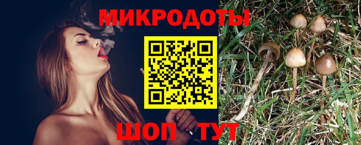 Черняховск  Галлюциногенные грибы ЛСД  Галлюциногенные грибы Psilocybe  Вход с VPN 