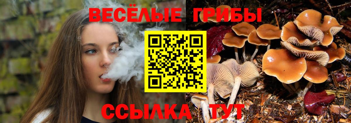 Галлюциногенные грибы MAGIC MUSHROOMS Черняховск
